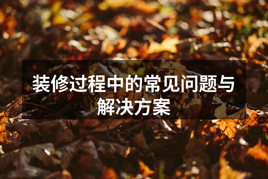 装修过程中的常见问题与解决方案